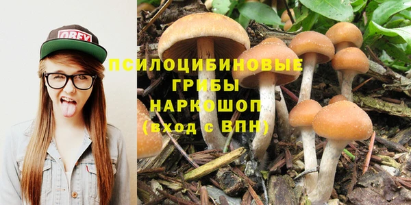 герыч Касимов