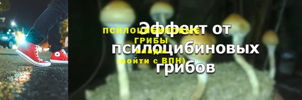 прущие крисы Карпинск
