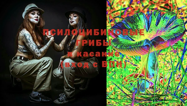 прущие крисы Карпинск
