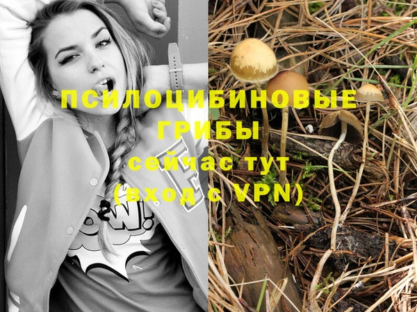 прущие крисы Карпинск