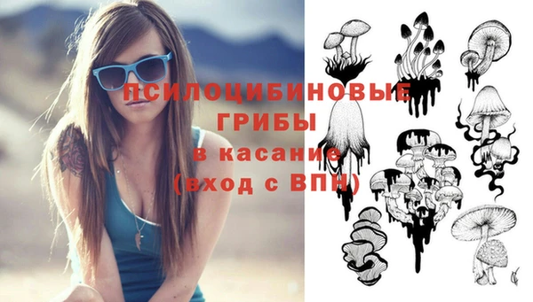 прущие крисы Карпинск