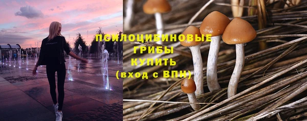 герыч Касимов