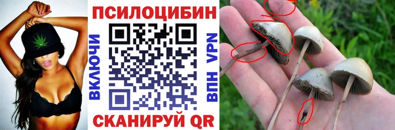 Купить где  Мещовск  Галлюциногенные грибы ЛСД 