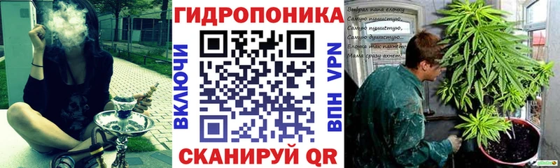 Канабис сатива  Купить где  Мещовск 